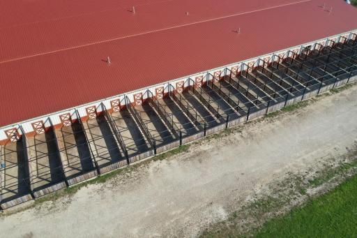 DJI_0956.JPG