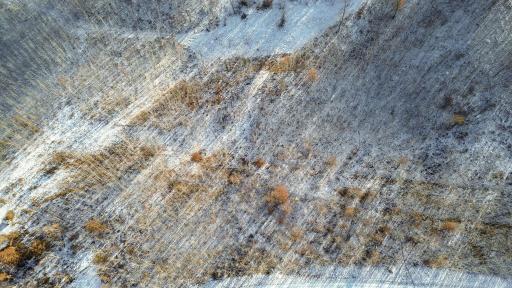 4-web-or-mls-untitled (6 of 10).jpg