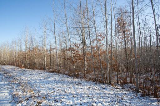 7-web-or-mls-untitled (3 of 3).jpg