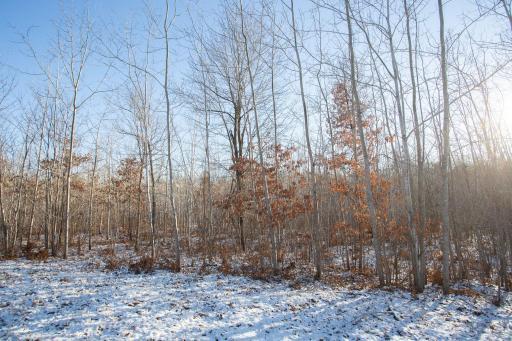 5-web-or-mls-untitled (1 of 3).jpg