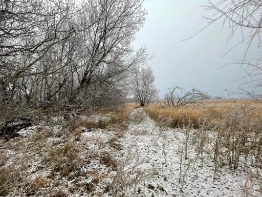 Photo for 21282 530th Avenue, Morris, MN 56267 - Listing #6467834 21282 530th Avenue, Morris, MN 56267