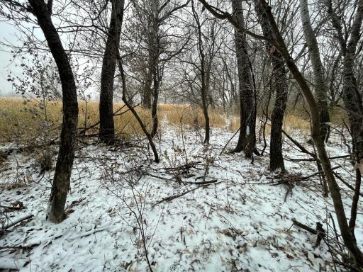 Photo for 21282 530th Avenue, Morris, MN 56267 - Listing #6467834 21282 530th Avenue, Morris, MN 56267
