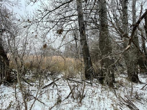 Photo for 21282 530th Avenue, Morris, MN 56267 - Listing #6467834 21282 530th Avenue, Morris, MN 56267