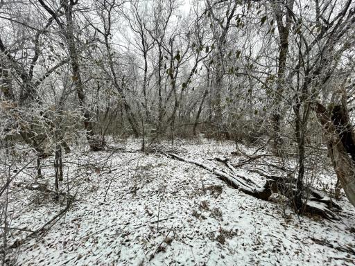 Photo for 21282 530th Avenue, Morris, MN 56267 - Listing #6467834 21282 530th Avenue, Morris, MN 56267