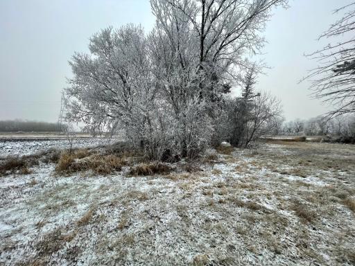 Photo for 21282 530th Avenue, Morris, MN 56267 - Listing #6467834 21282 530th Avenue, Morris, MN 56267