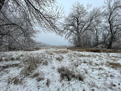 Photo for 21282 530th Avenue, Morris, MN 56267 - Listing #6467834 21282 530th Avenue, Morris, MN 56267