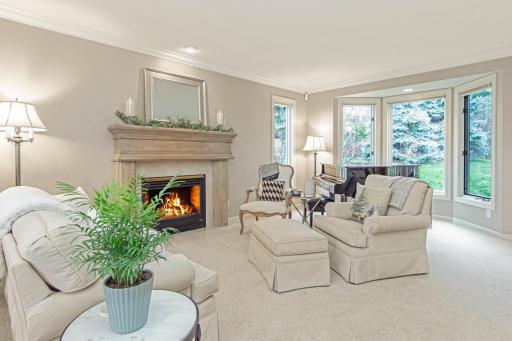 Family Room with Gas Fireplace and Nature Views