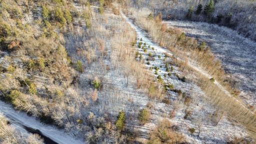 XXX Spotted Fawn Voyager Village Lot 63, Danbury, WI 54830