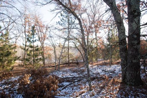 XXX Spotted Fawn Voyager Village Lot 63, Danbury, WI 54830
