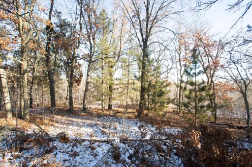 XXX Spotted Fawn Voyager Village Lot 63, Danbury, WI 54830