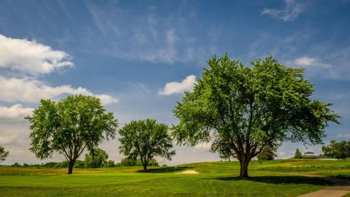 1451 Palmer Drive N, Lake Elmo, MN 55042