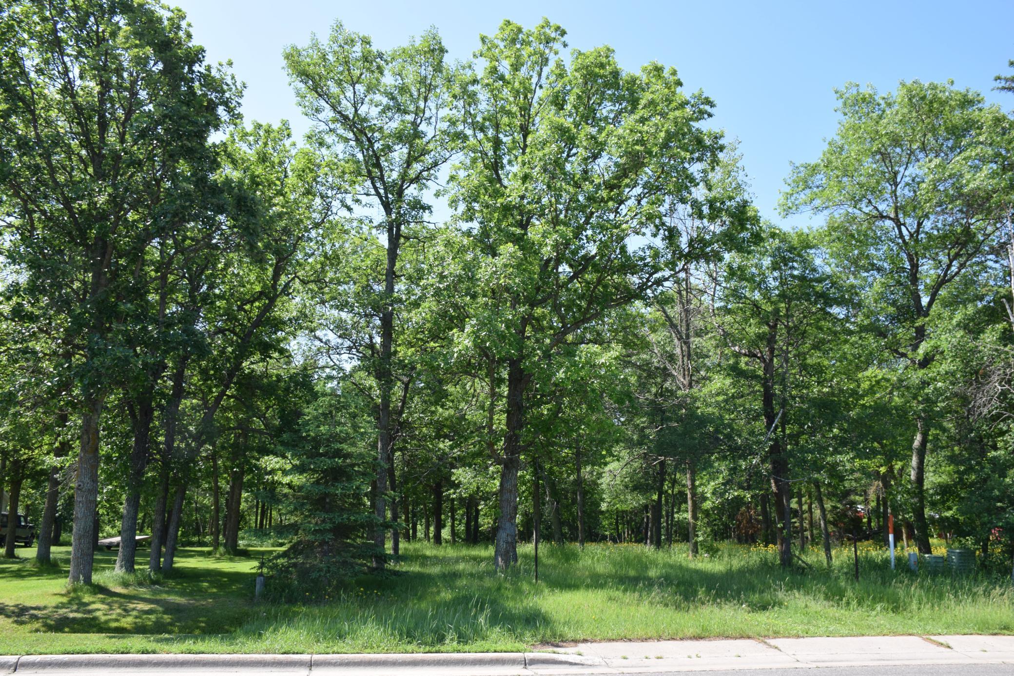 DSC_0959.JPG