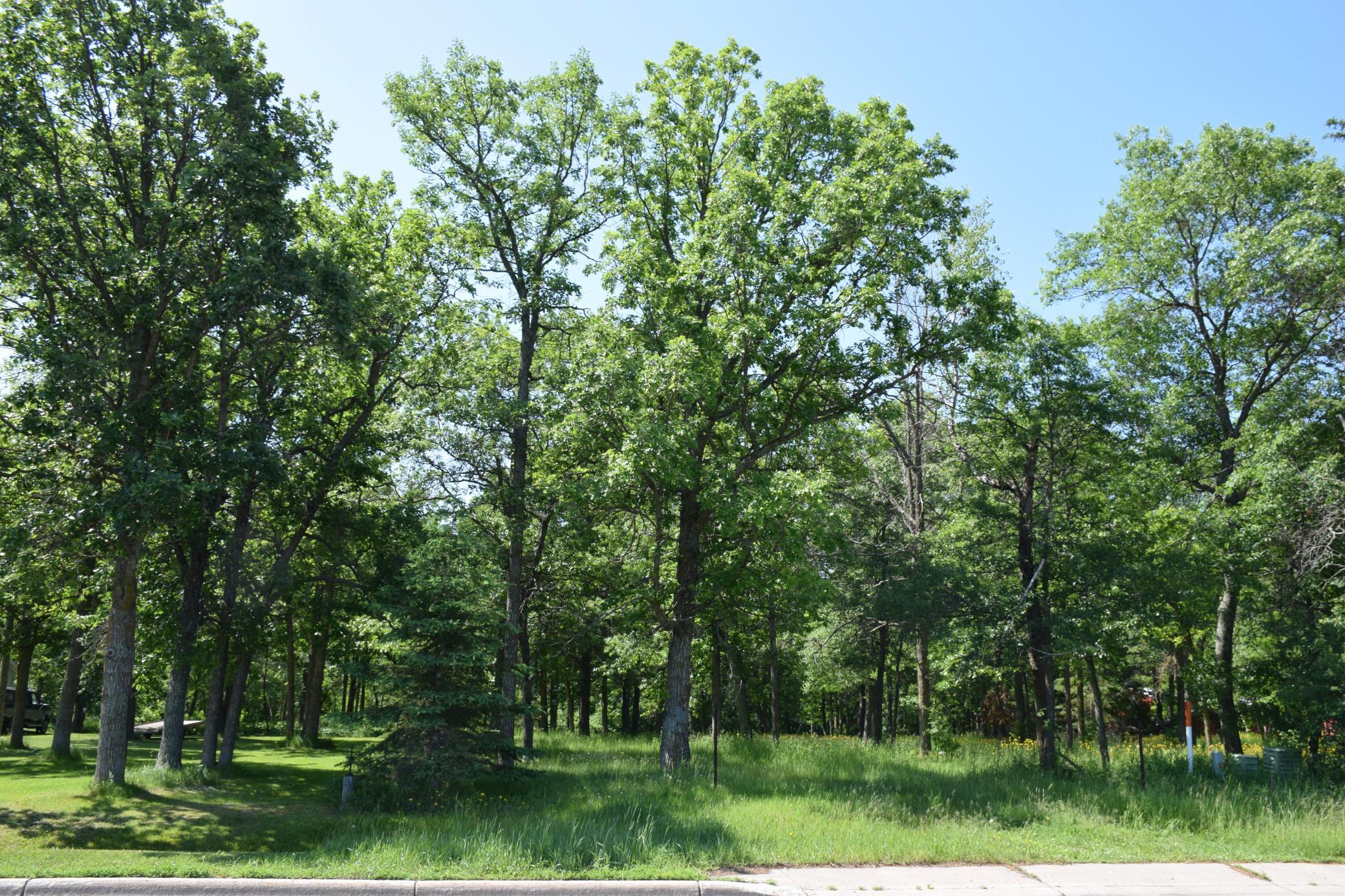DSC_0960.JPG