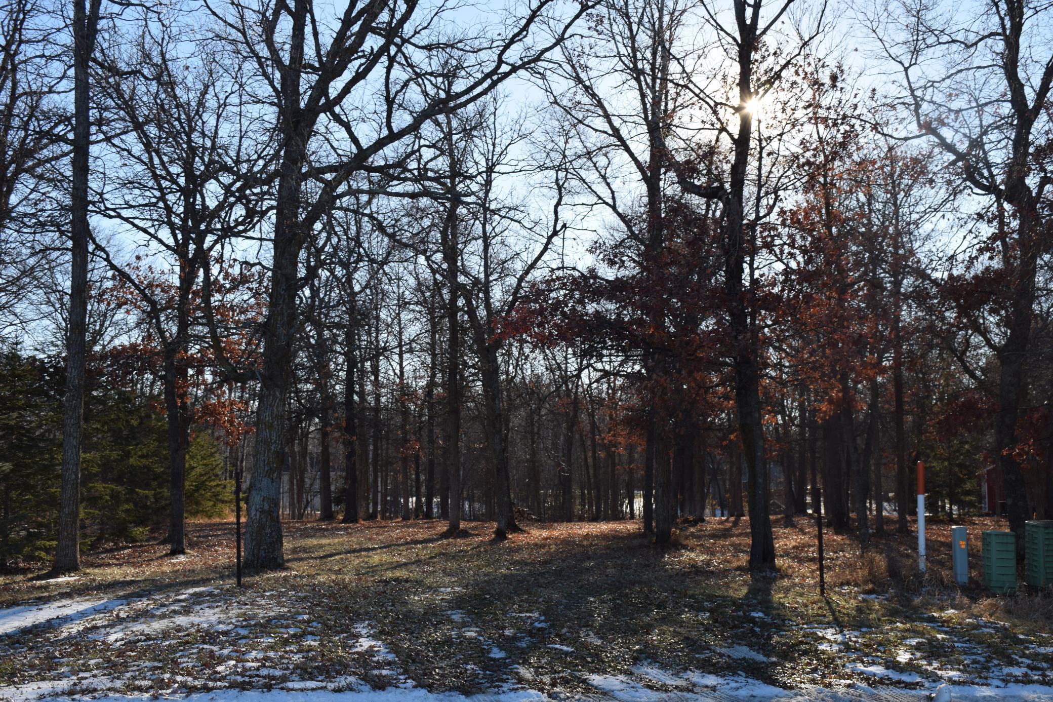 DSC_0900.JPG