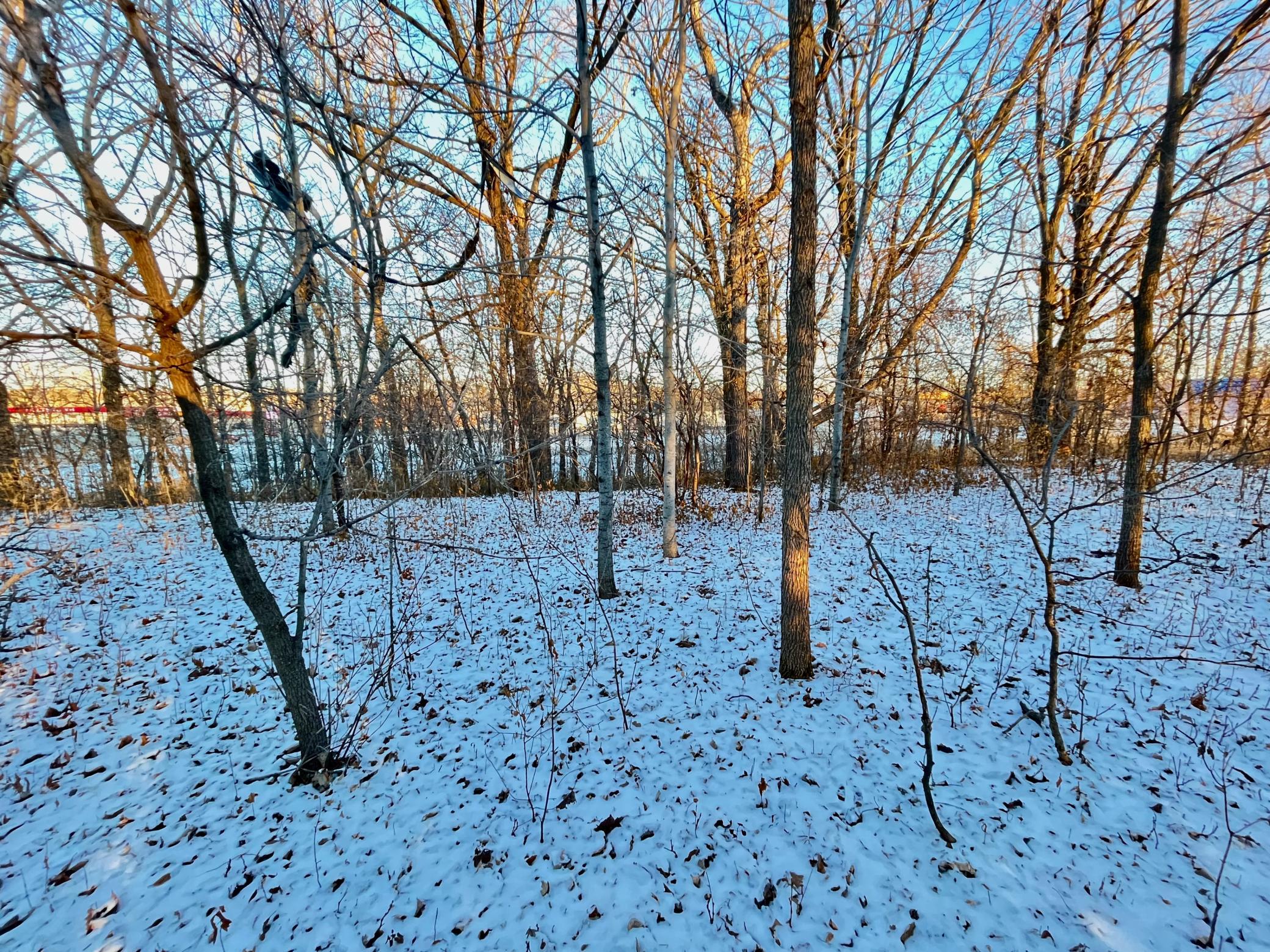 IMG_3610.jpeg