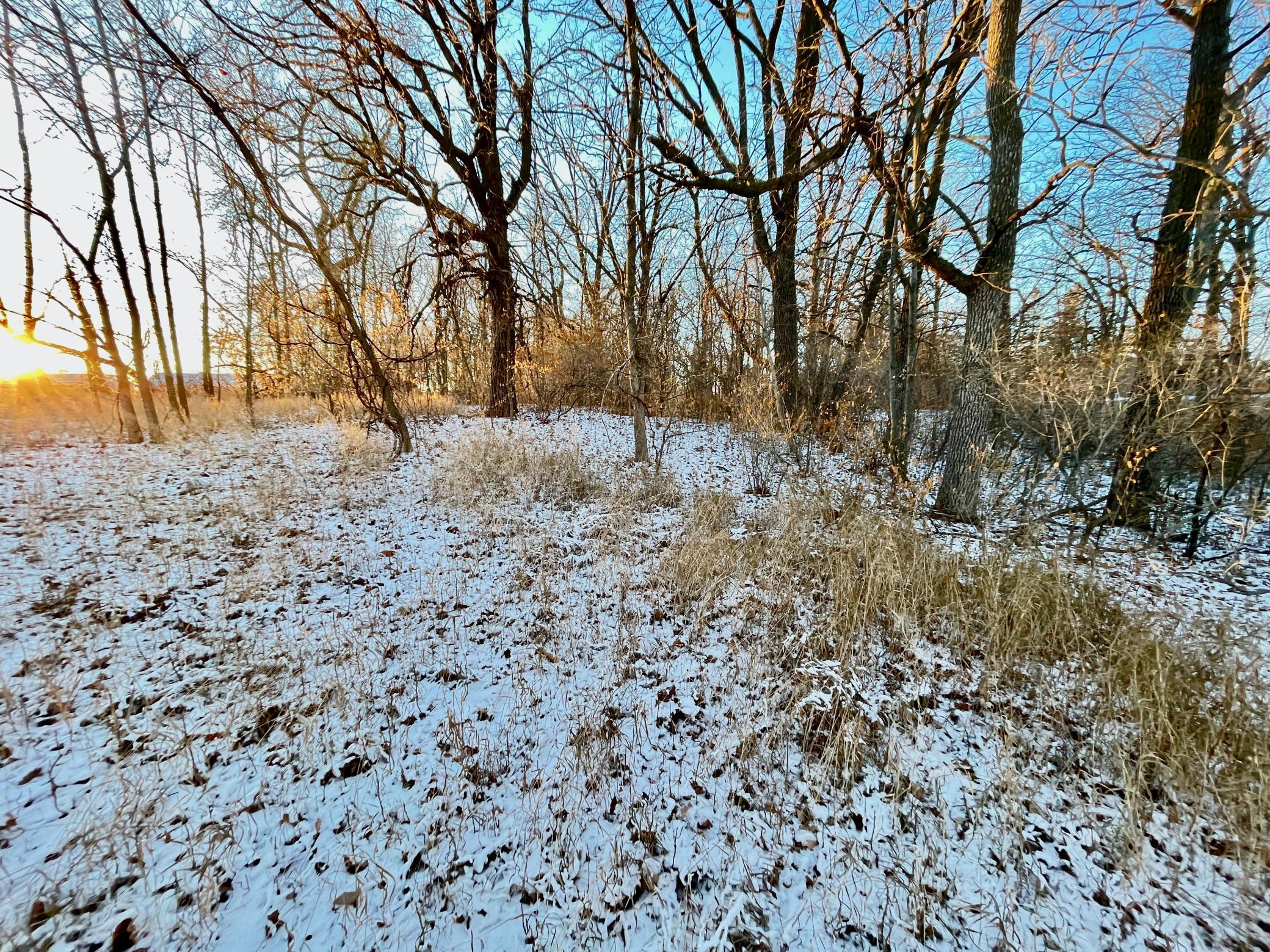 IMG_3607.jpeg