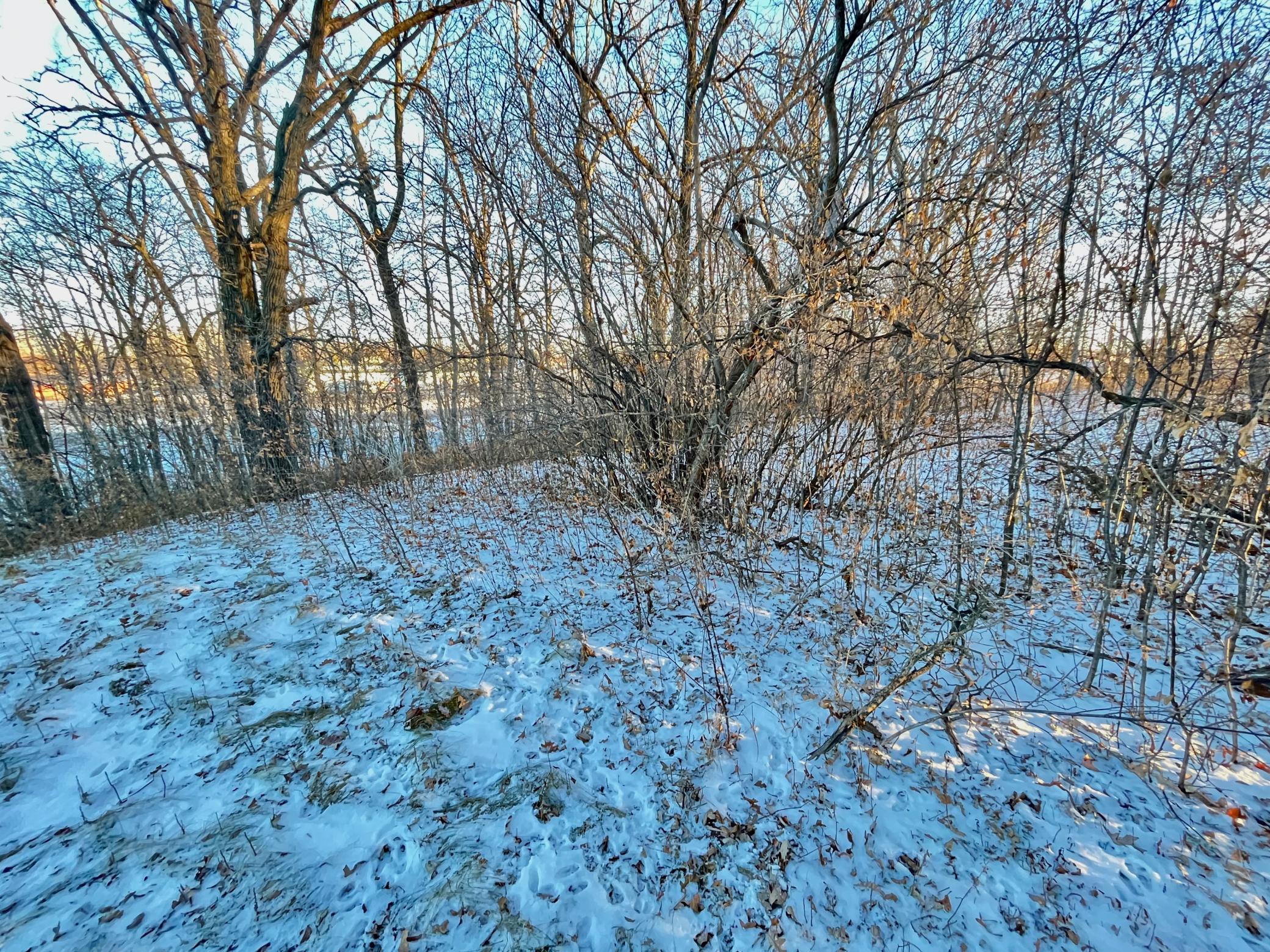IMG_3598.jpeg