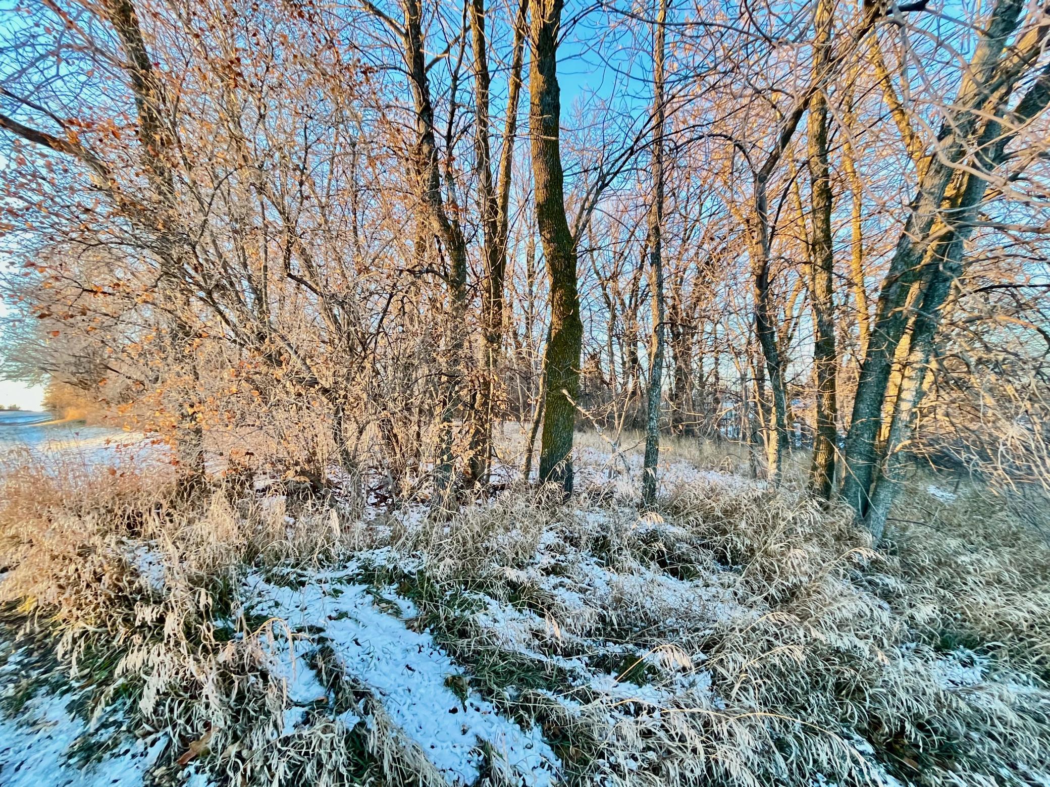 IMG_3616.jpeg