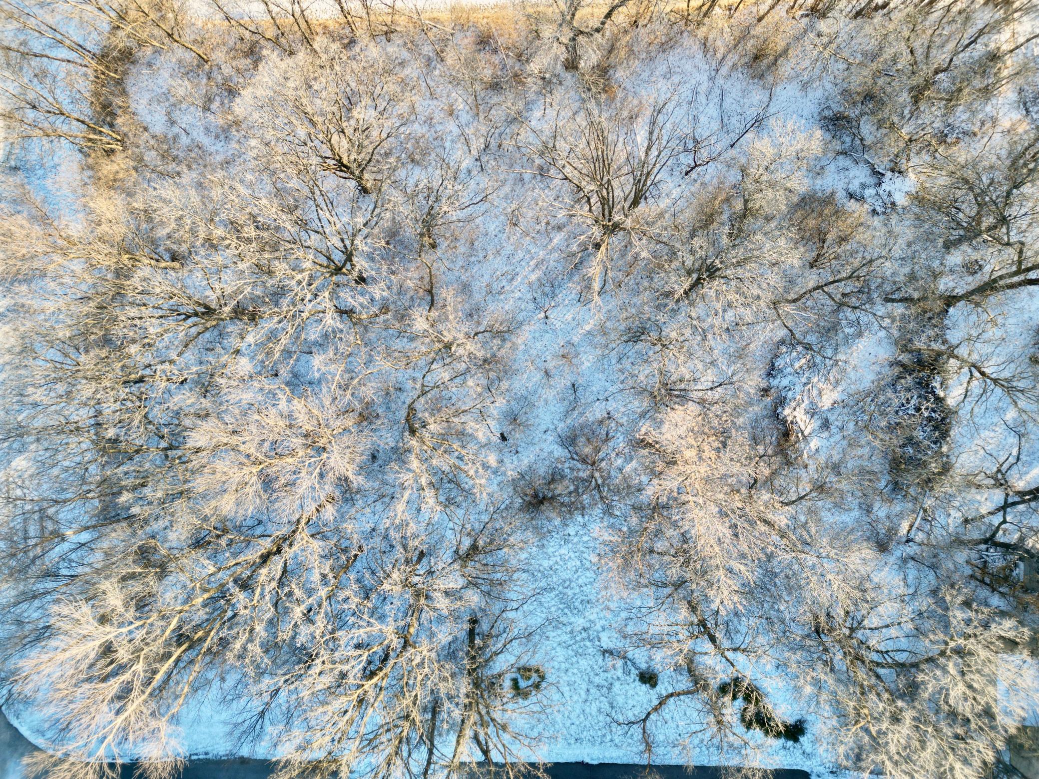 DJI_0614.jpeg