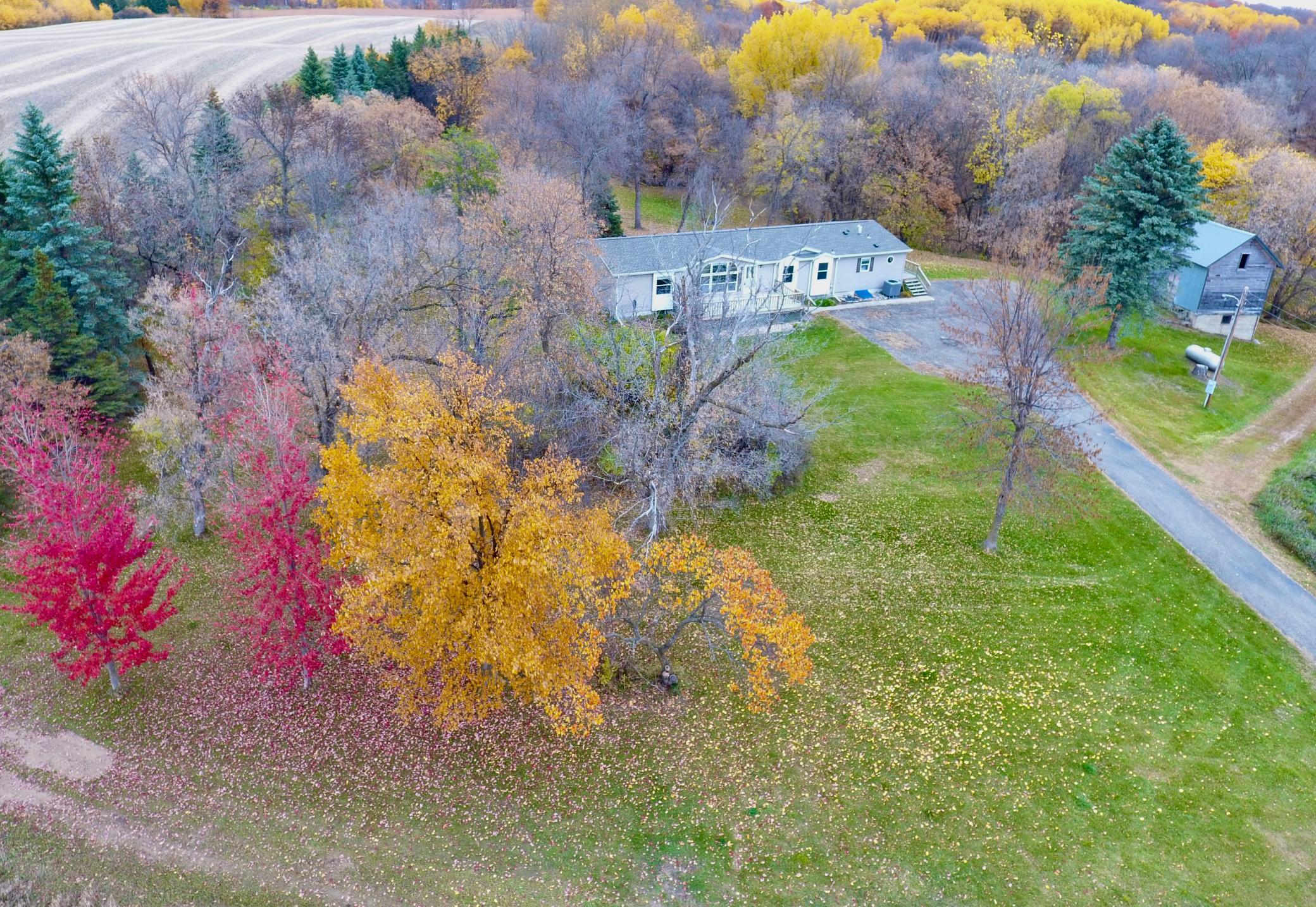 DJI_0253.jpeg