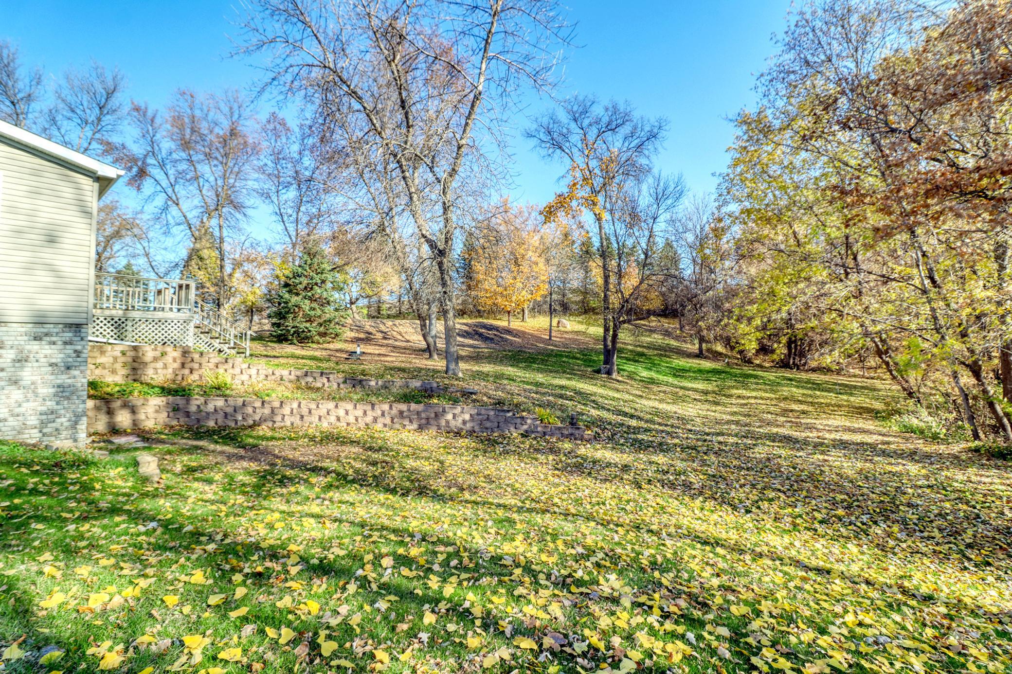 Backyard1_4.jpg
