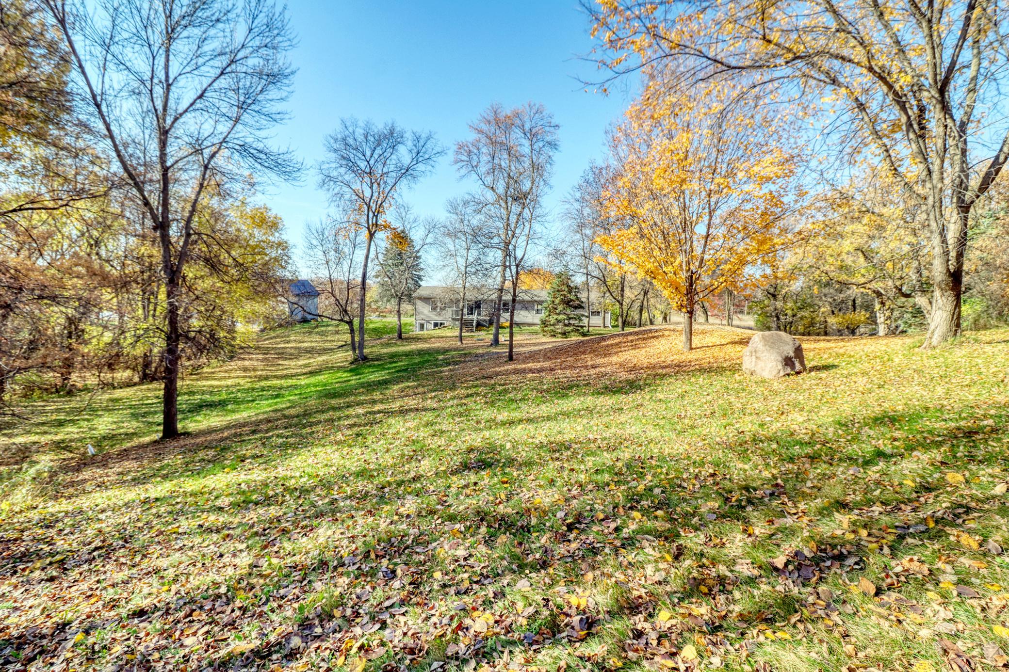 Backyard1_2.jpg
