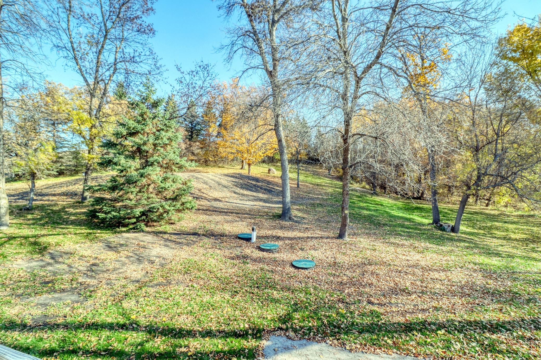 Backyard1_3.jpg