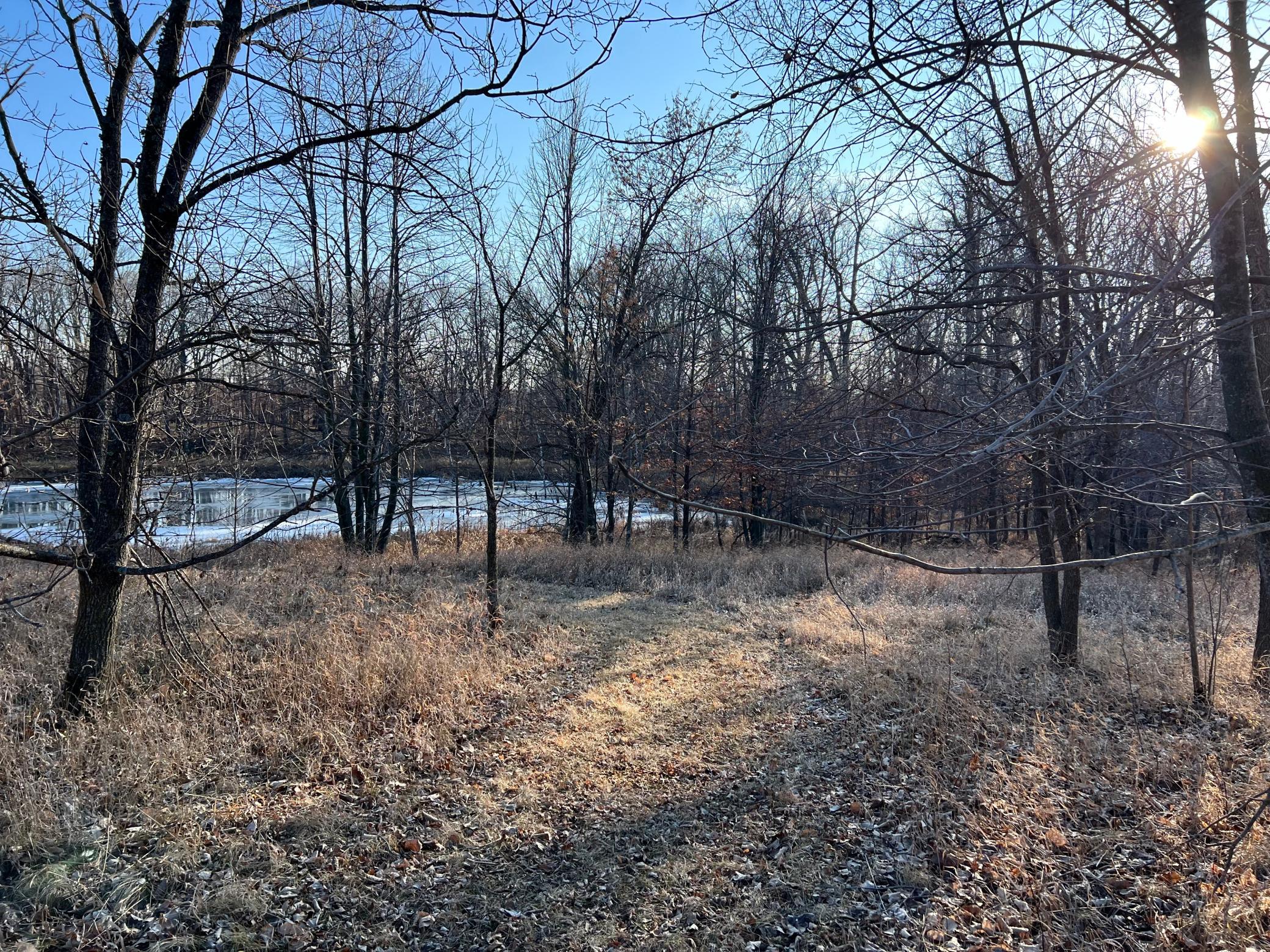 IMG_4126.jpeg