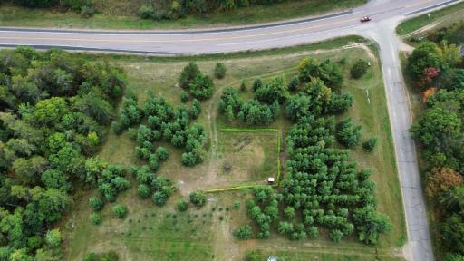 Build rihgt in the middle of the lot surrounded by trees for privacy