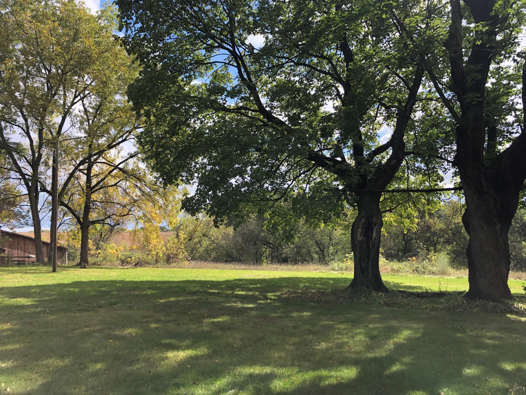 Back Yard - South of the house.jpg