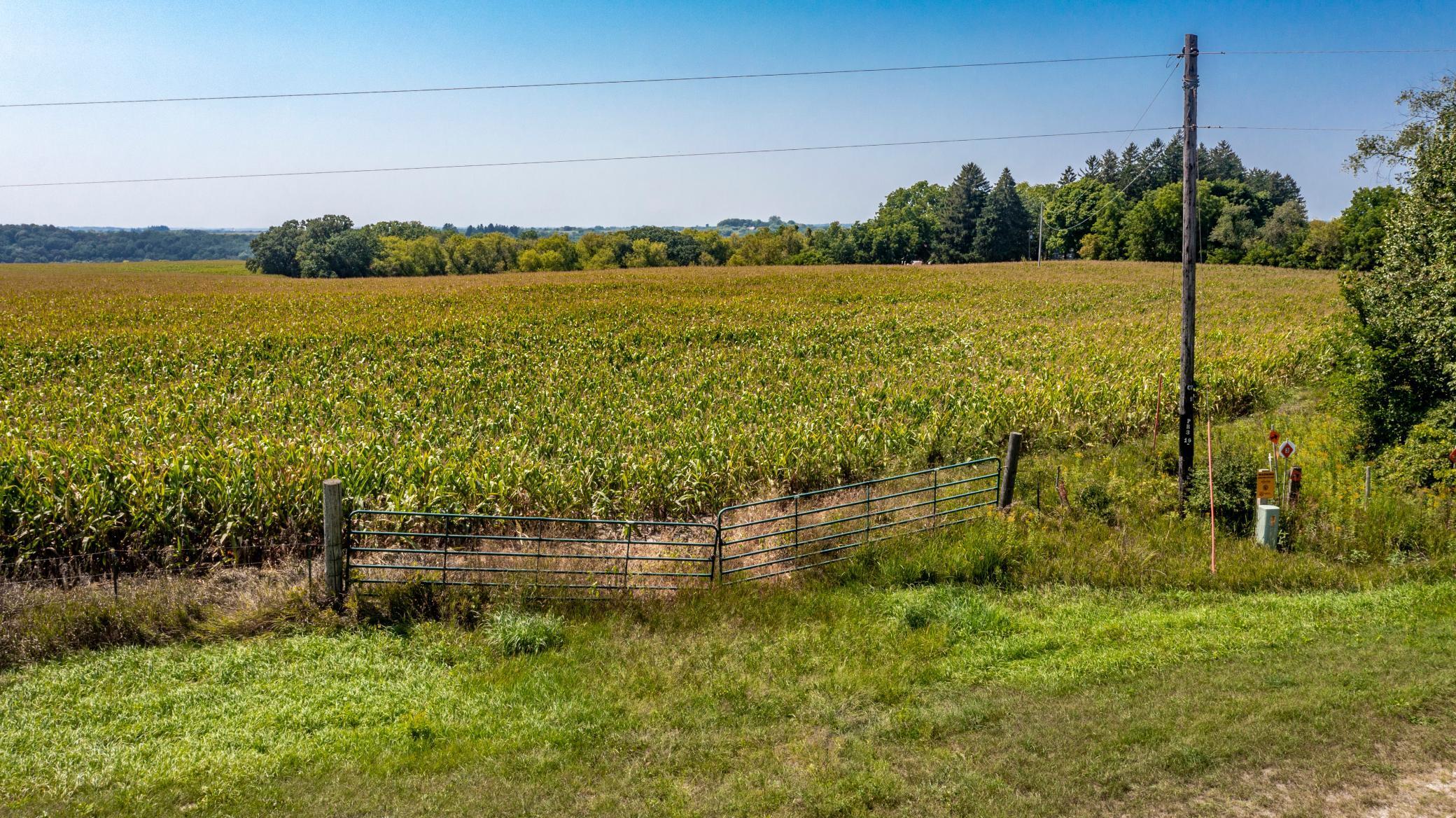 37438 Doe Rd Lanesboro-12.jpg