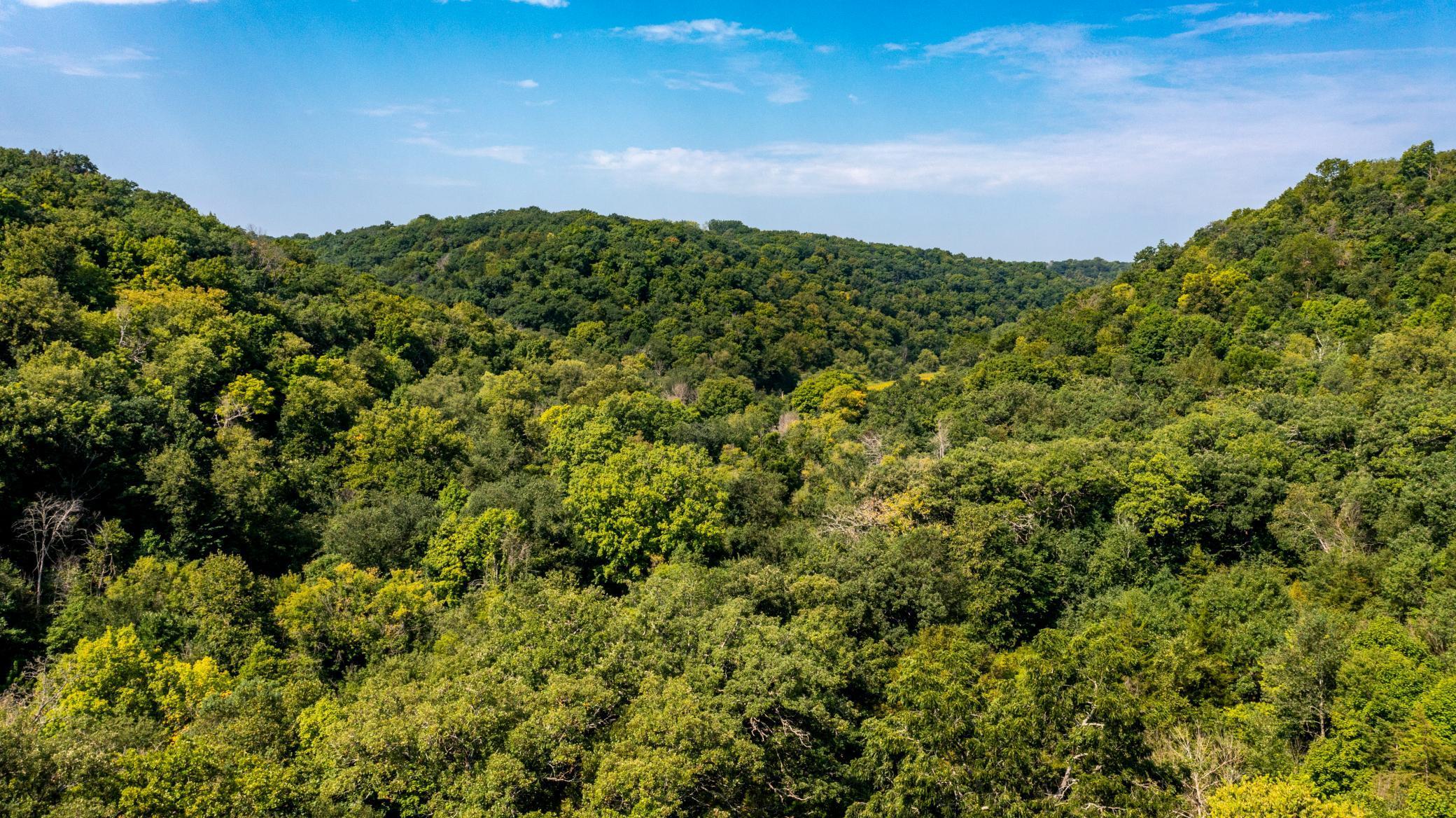 37438 Doe Rd Lanesboro-9.jpg