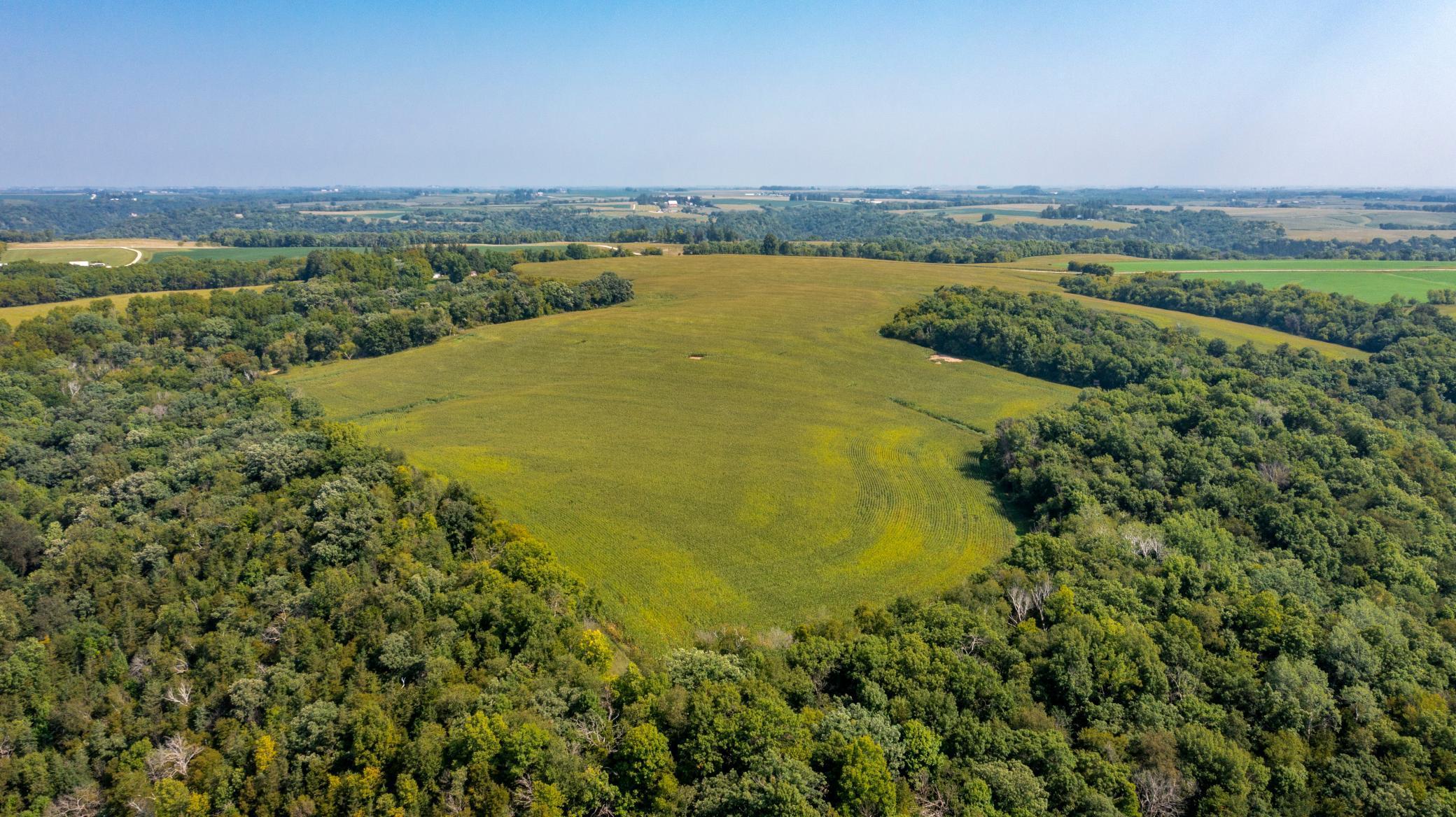 37438 Doe Rd Lanesboro-7.jpg