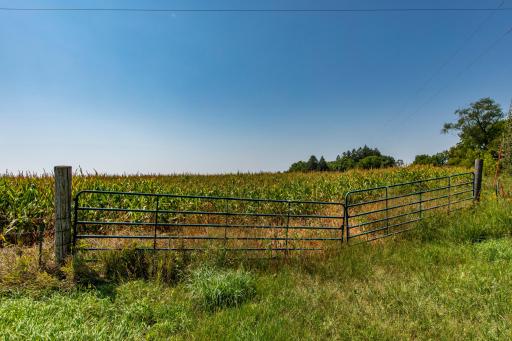 37438 Doe Road, Lanesboro, MN 55949