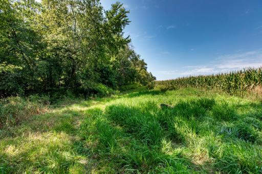37438 Doe Road, Lanesboro, MN 55949
