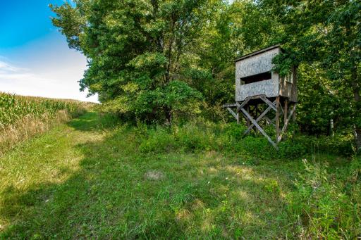 37438 Doe Road, Lanesboro, MN 55949