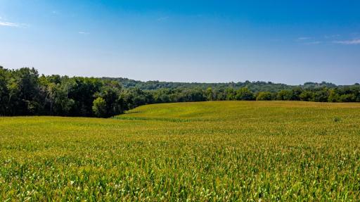 37438 Doe Road, Lanesboro, MN 55949
