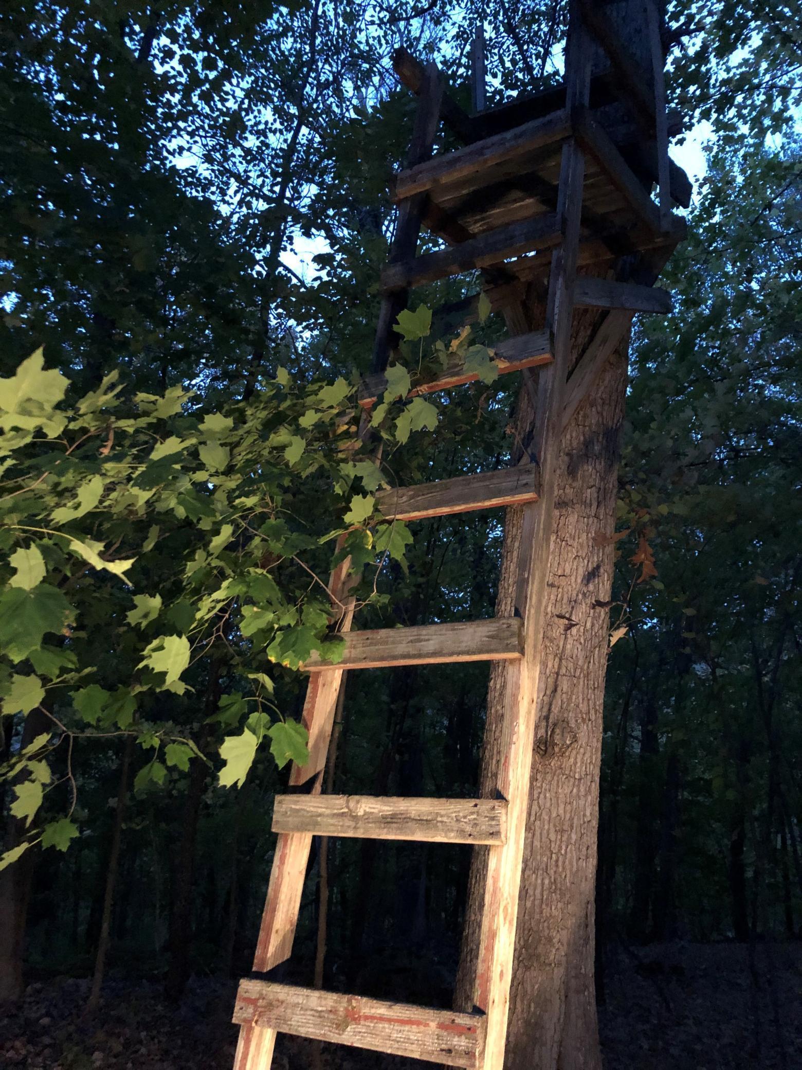 Home of Monster Whitetail Deer, Turkey and Wildlife.jpg