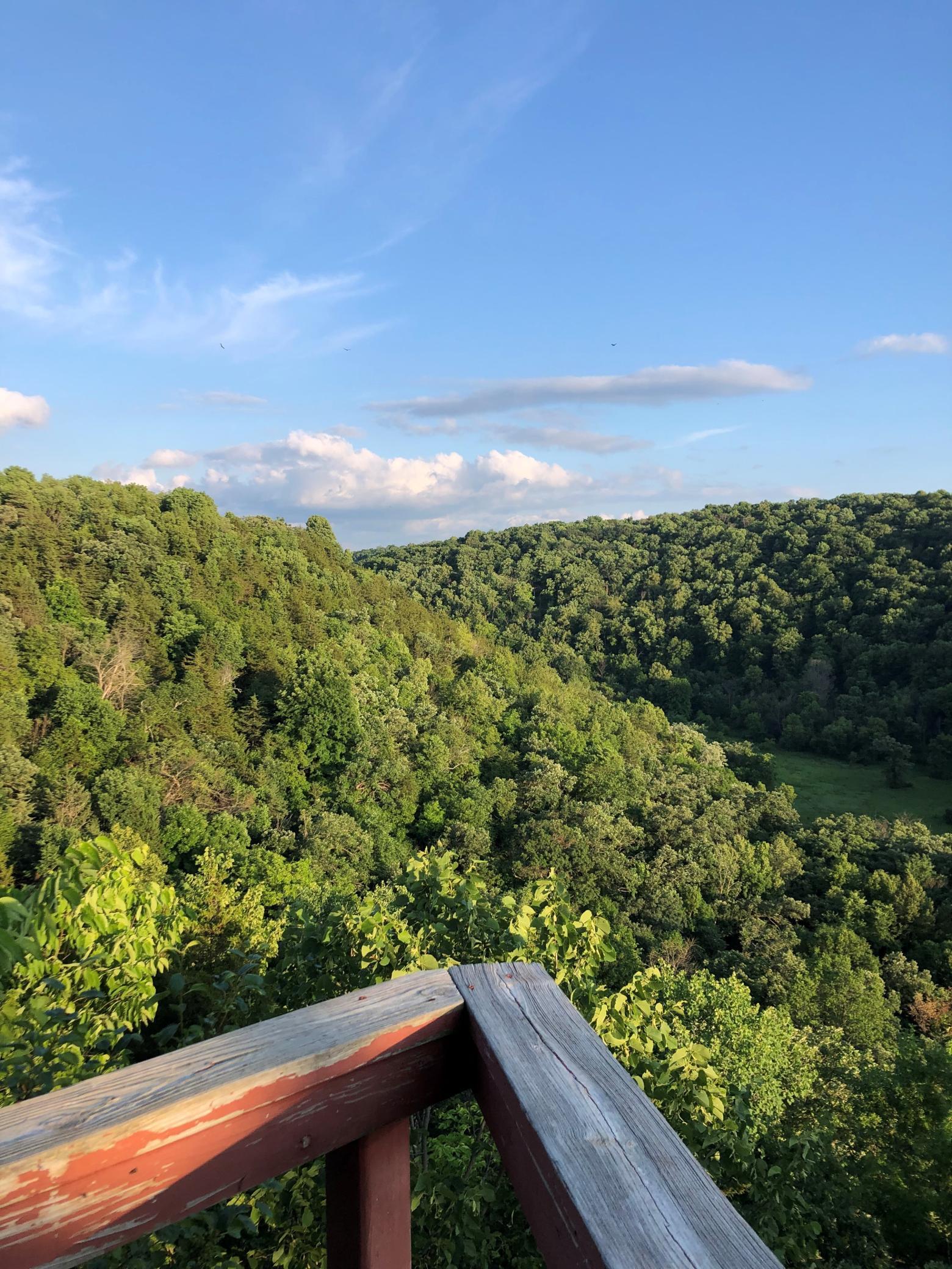 View from E-Deck 5.jpg