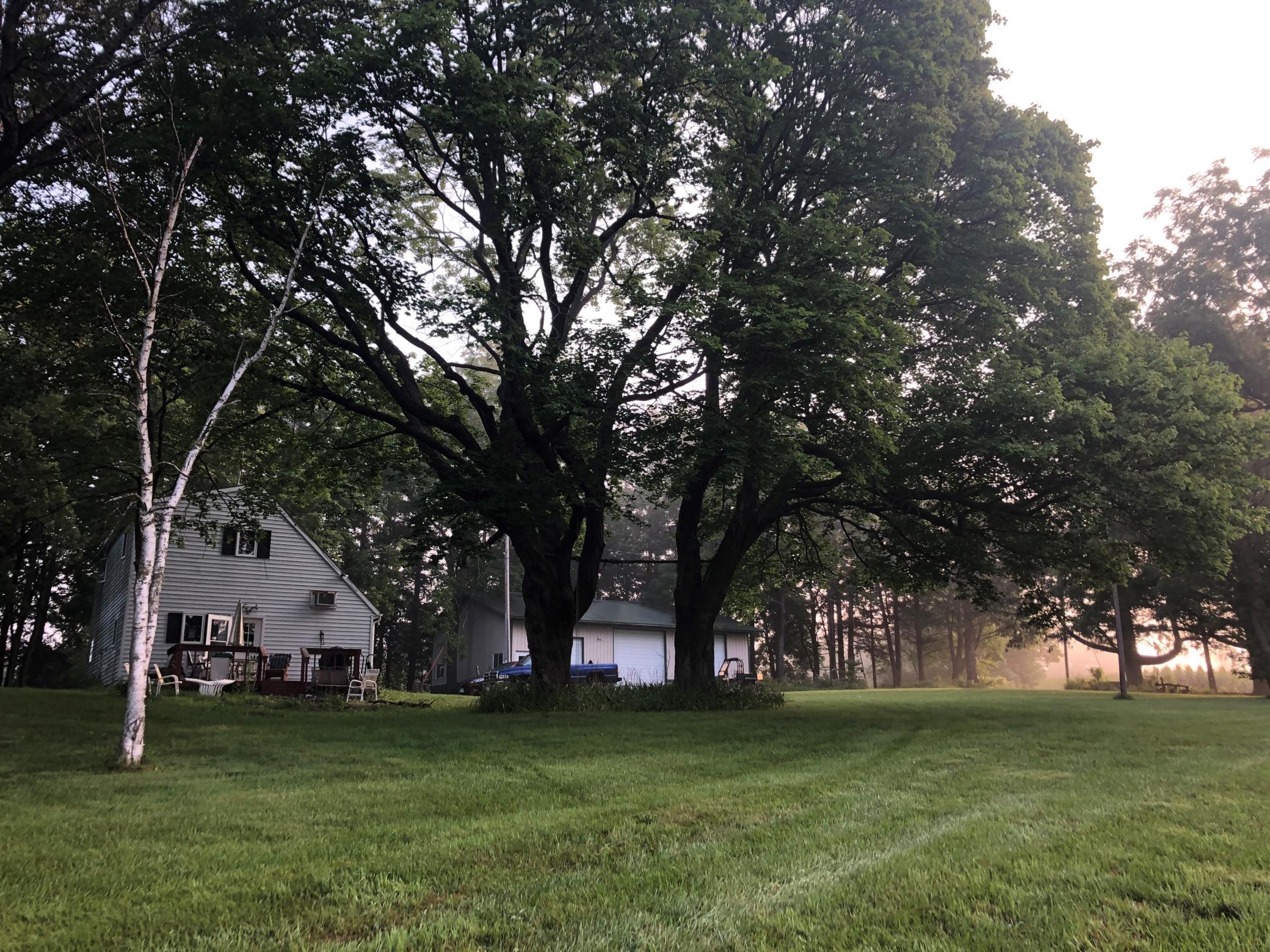 South Side of House - Yard.jpg