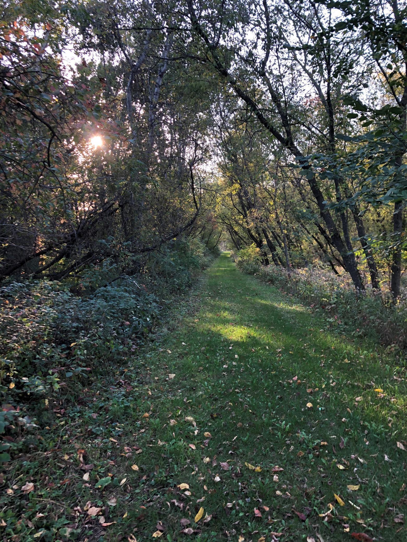 Beautiful Miles of trails through-out the 421 acres.jpg