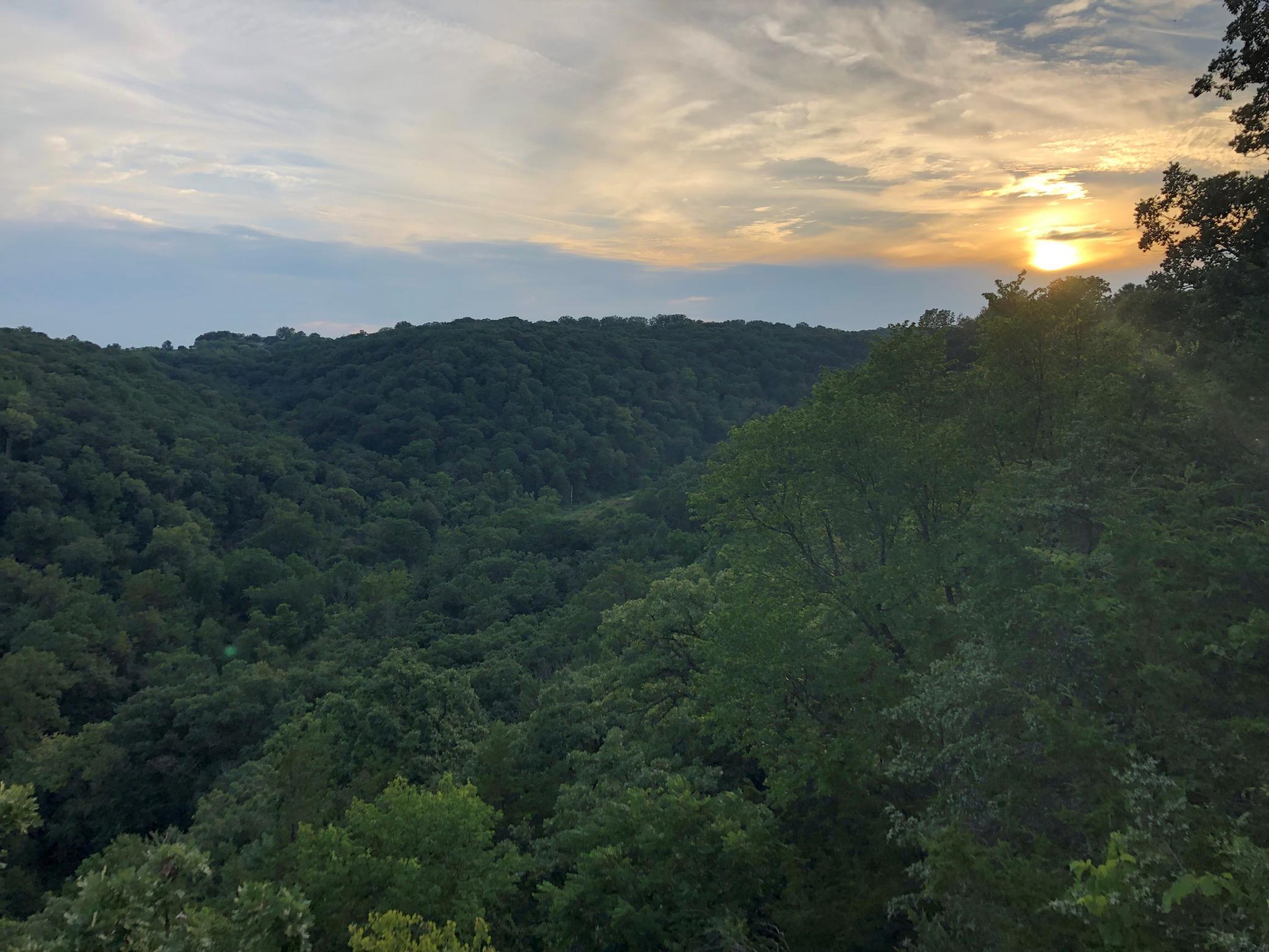 View from Engineered Deck - 4.jpg