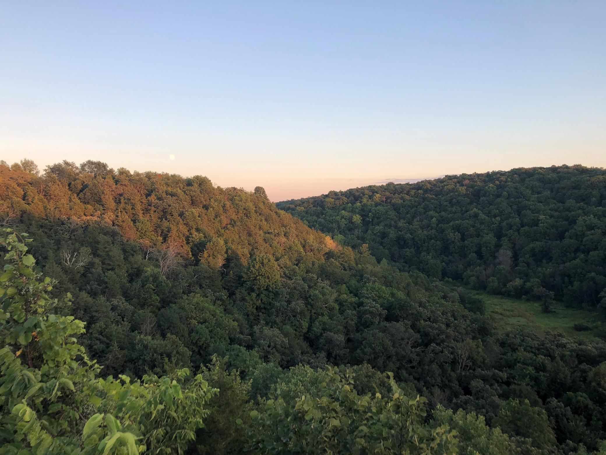 View from Engineered Deck - 2.jpg