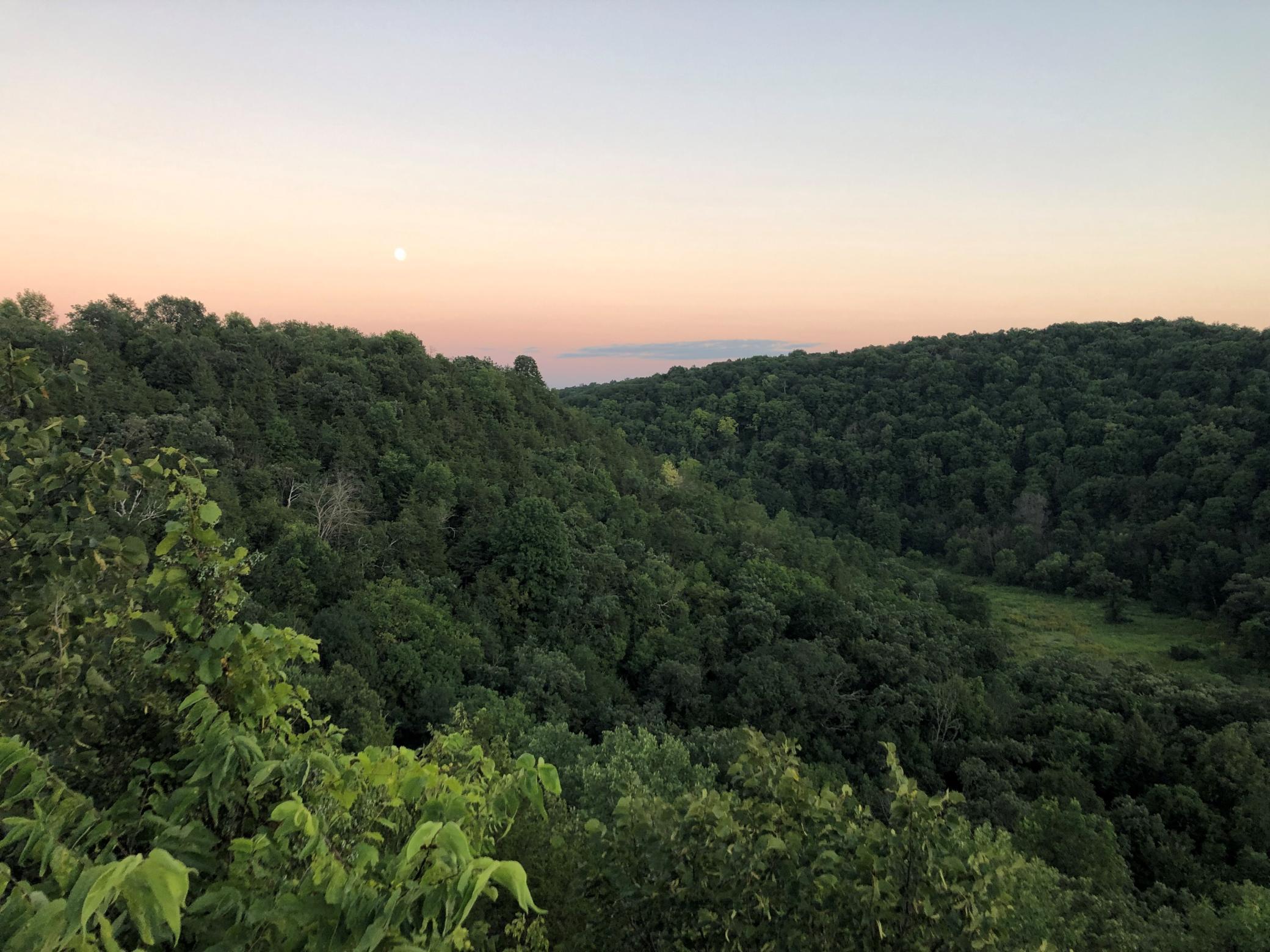 View from Engineered Deck - 3.jpg