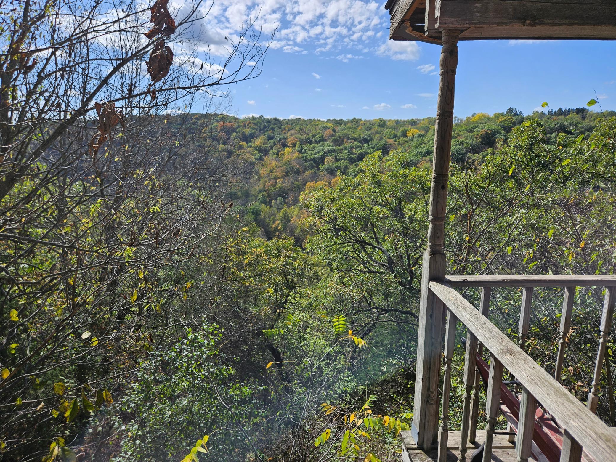 View from Cabin porch area.jpg