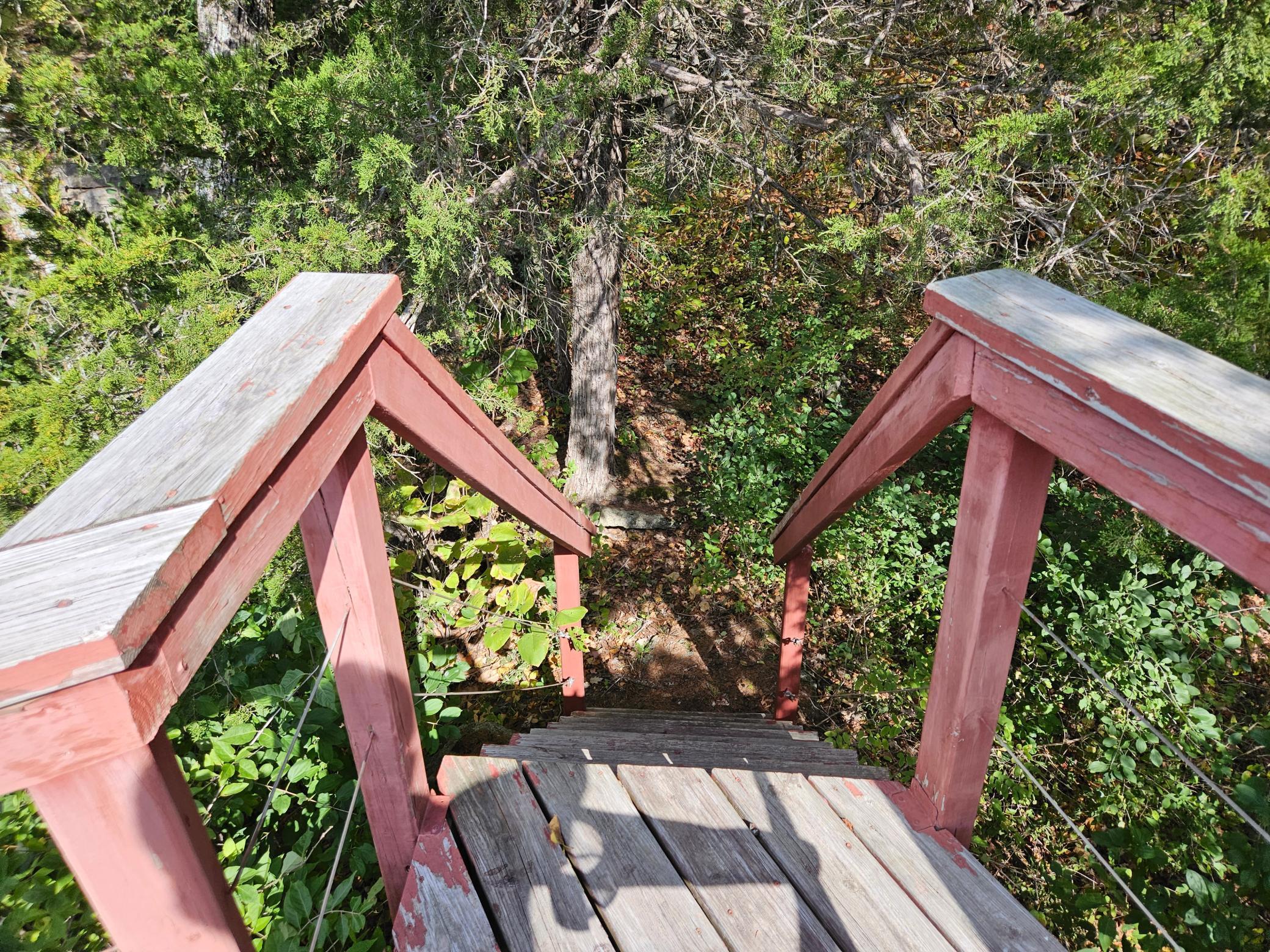 steps off cabin to walkiing trail.jpg