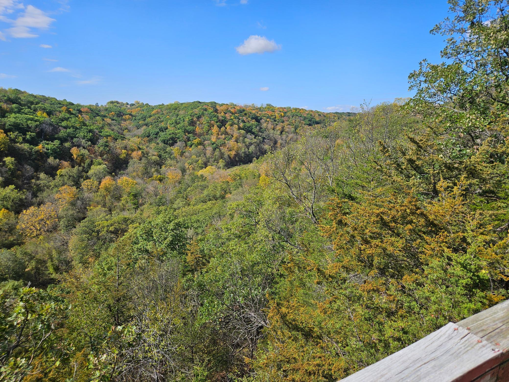 Honeymoon Suite Pic 3.jpg