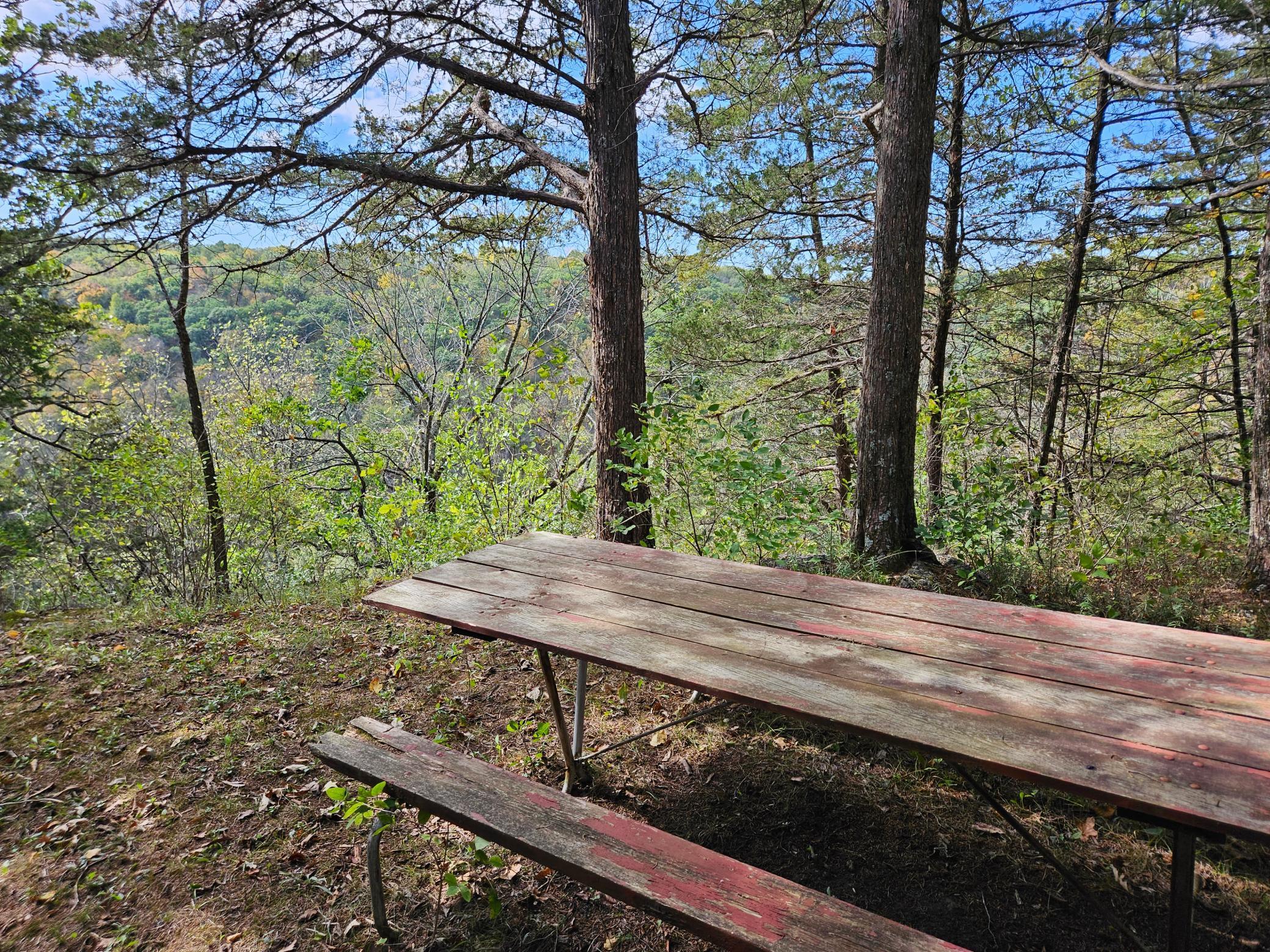 Picknic Area by look-out deck.jpg