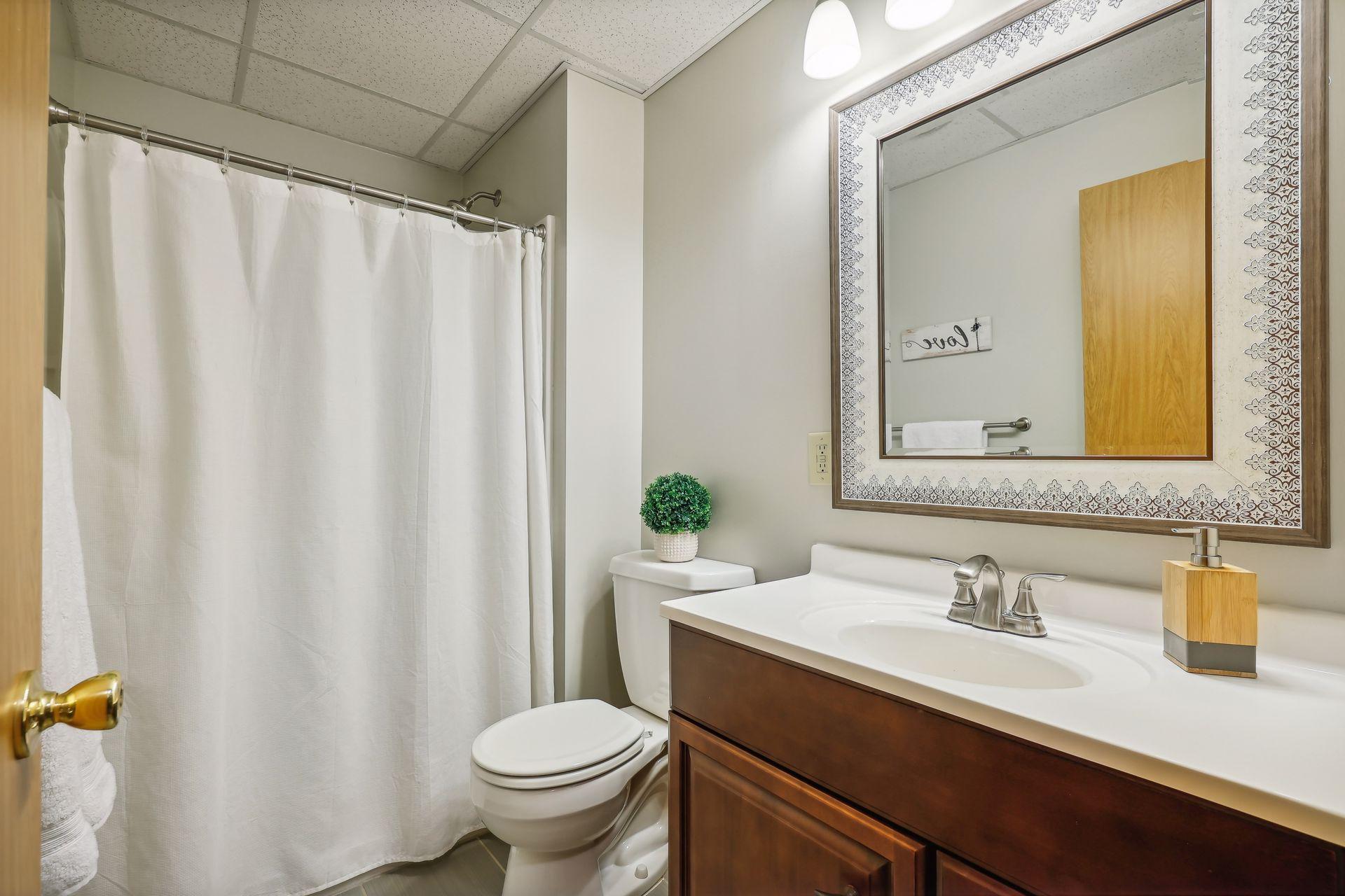 Lower level updated bathroom.