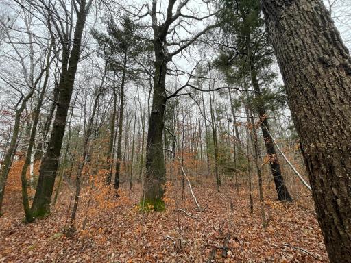 16151 Two Creek Road, Brook Park, MN 55007
